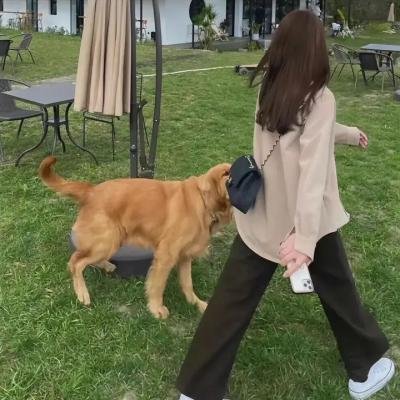 身在其中